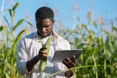 Digitizing Farming A Journey with DigiFarmer