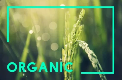 Organic at Agrosahas