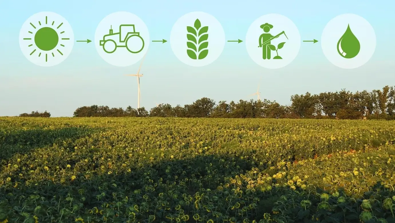 From Soil to Harvest: How DigiFarmer Transforms Farming