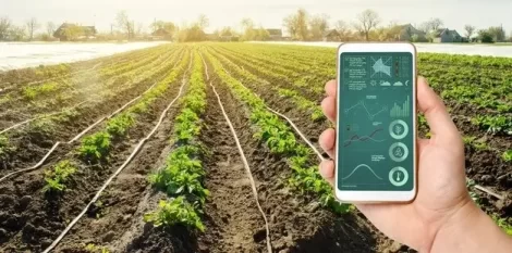 A hand is holding a smartphone with irrigation system management and analytics of data