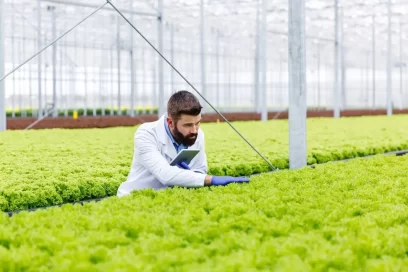 Researcher studies plants with a tablet standing in the greenhouse