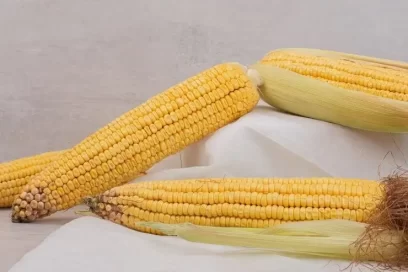 Yellow maize