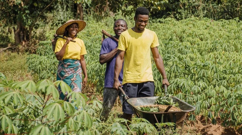 Celebrating Farmer Resilience: Success Stories from Agrosahas Partner Communities