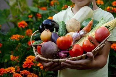 Bridging Agriculture and Wellbeing