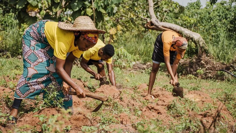 Farming and Rural Life