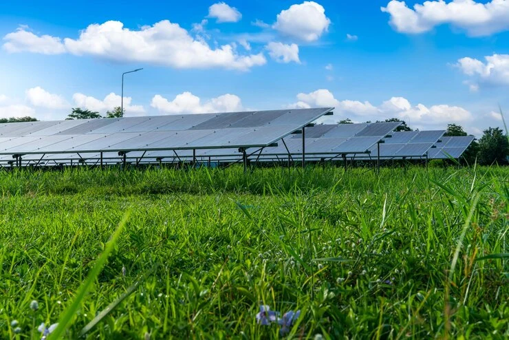 Renewable Energy in Agriculture: Agrosahas’ Green Energy Solutions