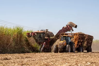 Strategies for Reducing Post-Harvest Losses in Agriculture