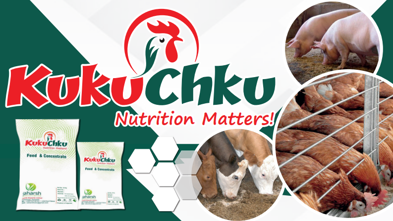 Kukuchku Animal Feeds and Concentrates