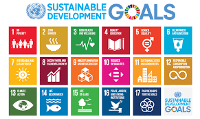 Agrosahas and the Global Sustainable Development Goals: Contributing to Global Efforts